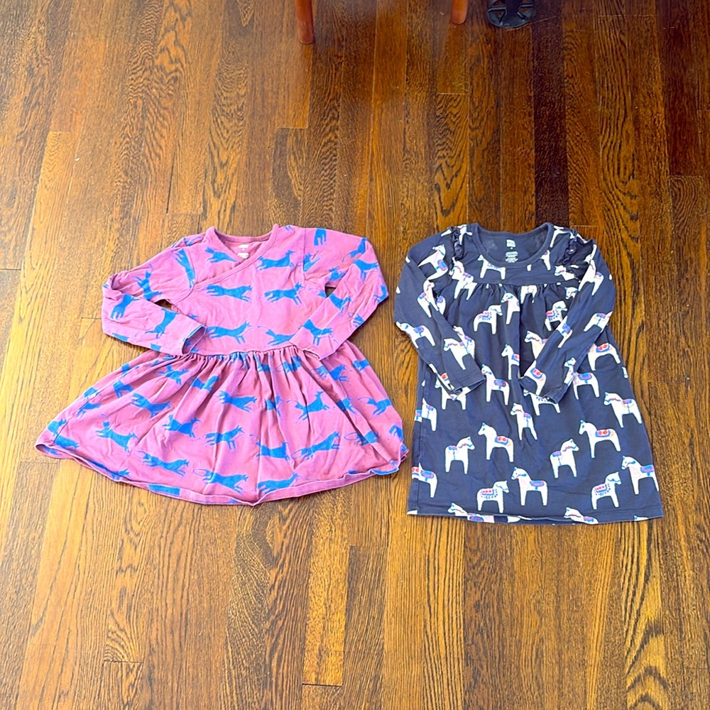Lot of 2 dresses by Tea Collection Size 4.